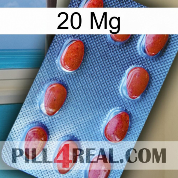 20 Mg 06.jpg